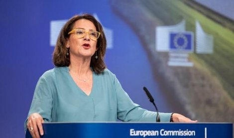 notibrasil economía