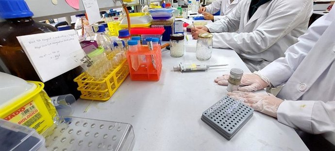 Imagen de archivo de un laboratorio. 