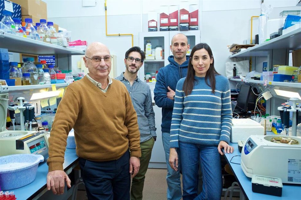 Identifican una nueva enzima con "prometedoras propiedades" para las herramientas de edición genética CRISPR-Cas