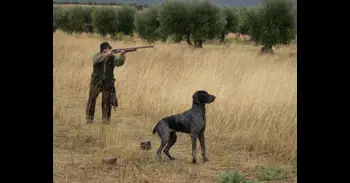 Aprobado nuevo Reglamento de Caza para adaptar normativa a la realidad cinegética actual, controlar daños y simplificar