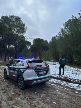 Guardia Civil en el pinar donde se sutrajeron los pinos en Hornillos (Valladolid).