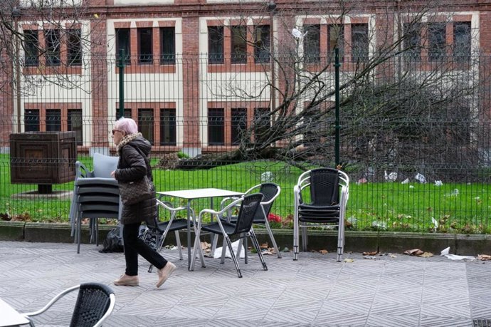 Arbol arrancado por el viento en Barakaldo (Bizkaia)
