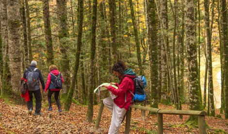 Comunicados Sociedad