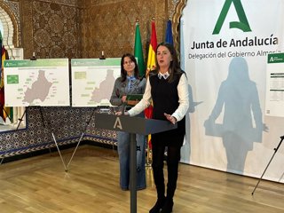 La delegada de la Junta de Andalucía en Almería, Aránzazu Martín, presenta el programa inversor en carreteras para 2026.