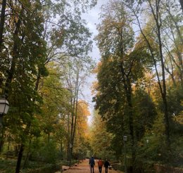 notibrasil política