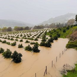 Desbordamiento del río Hozgarganta a su paso por Jimena de la Frontera (Cádiz)