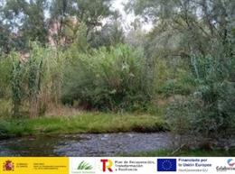 Modificado Revive Cidacos