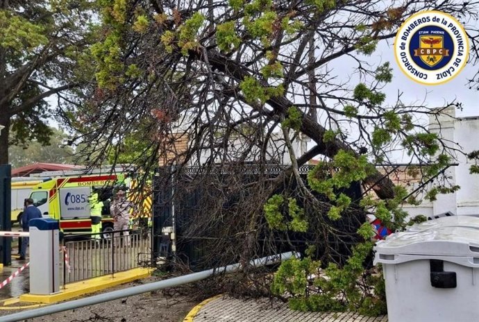 Efectivos de Bomberos retiran un árbol caído en San Fernando.