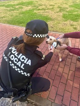 Una agente comprueba la identificación de un perro dentro de la ordenanza municipal de tenencia de animales domésticos.