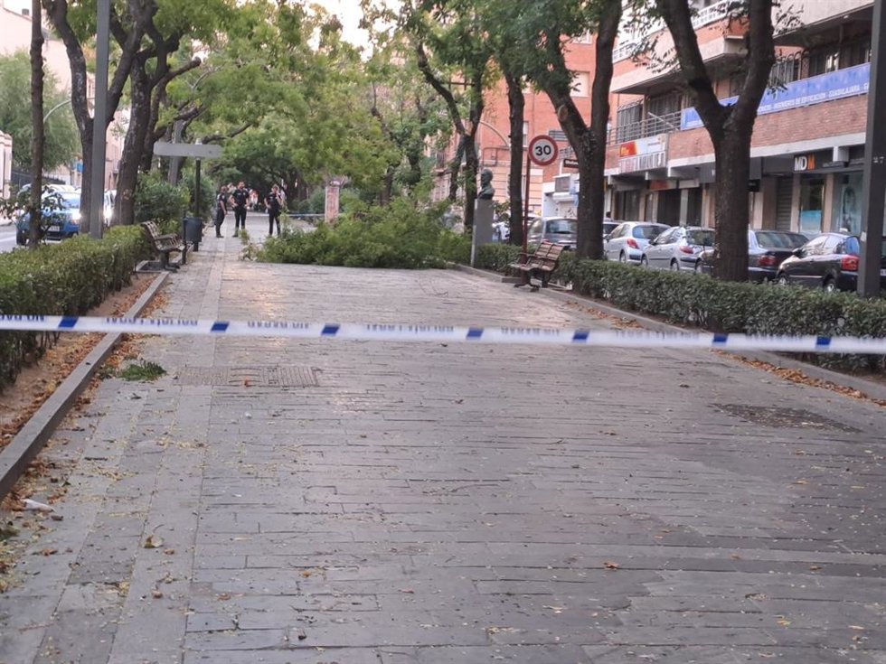 Parque cerrado en Guadalajara.