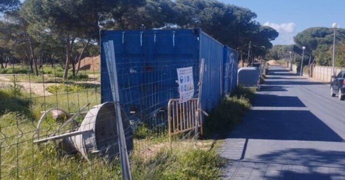 Zona de Pinos del Mar de Punta Umbría (Huelva).