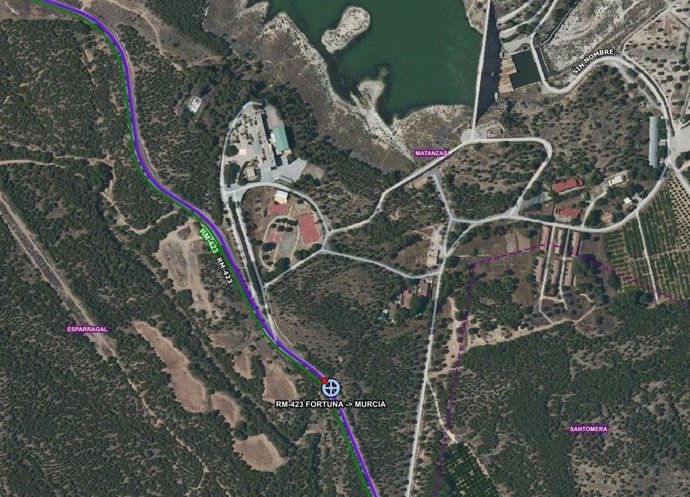 Las fuertes rachas de viento han derribado un árbol en la carretera RM-423 Fortuna-Murcia, en el punto kilométrico 5