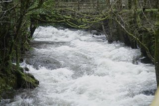 Pontevedra sufre con fuerza el impacto del temporal.