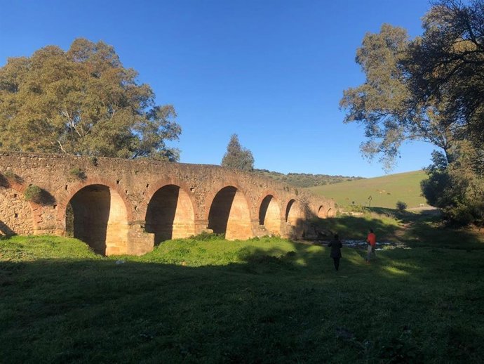 Alcalá de los Gazules.