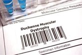 Foto: Desarrollan un cuestionario para identificar dificultades cognitivas y emocionales en la distrofia muscular de Duchenne