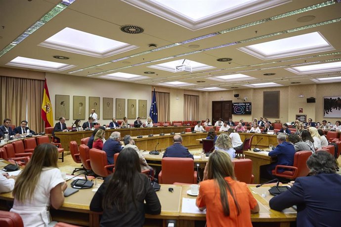 Archivo - Vista general de la reunión de la Diputación Permanente, en el Congreso  