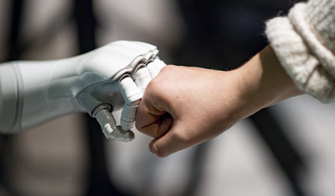 notibrasil sociedade