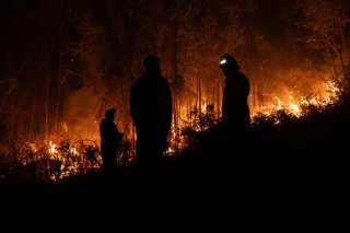 Chaimavida, 20 de enero 2026. Estado de catastrofe por incendios en la Region del Bio Bio.. Javier Torres/Aton Chile
