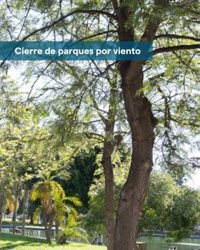 Los parques vallados y perimetrados de Málaga permanecen cerrados tras aviso naranja por viento