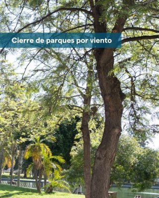 Aviso de parques cerrados de Málaga por el viento