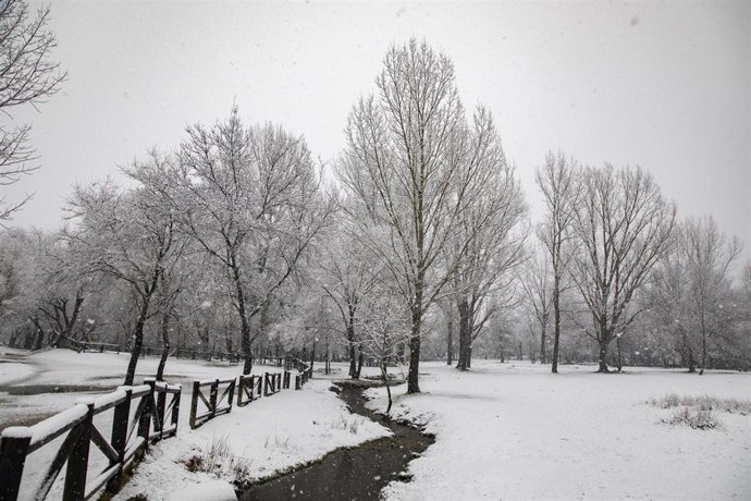 Nevada en la Sierra de Madrid