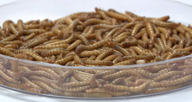 Vídeos