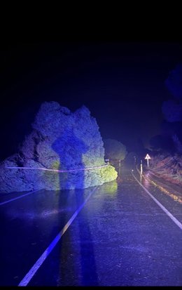 Un árbol caído sobre la carretera de Malpica.