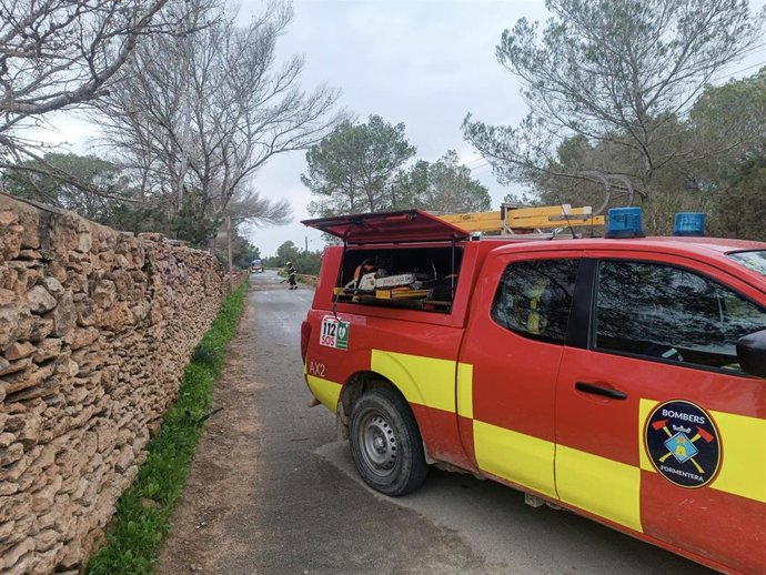 Bomberos de Formentera cortan un árbol caído sobre un camino en Formentera