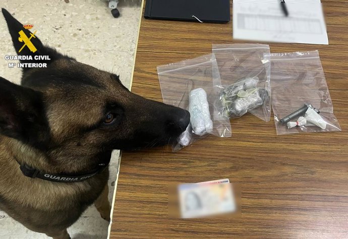 Gos de la Guàrdia Civil durant un control