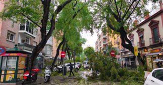 Es Andalucía - Sevilla