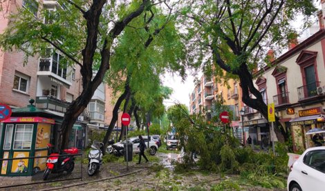 Es Andalucía - Sevilla