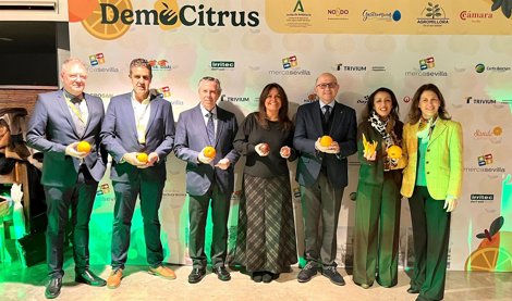 Es Andalucía - Sevilla