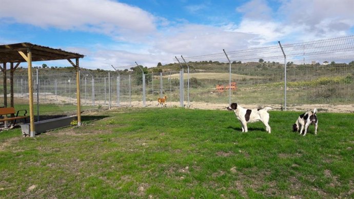 Archivo - Imagen de archivo del centro municipal de acogida de animales
