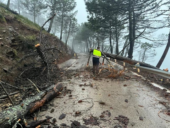 Operarios trabjan en carreteras de Málaga tras el temporal de viento y lluvia
