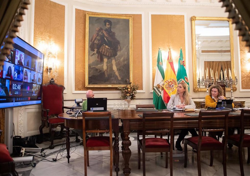Almudena Martínez preside el Pleno del mes de enero celebrado de manera telemática debido al temporal.