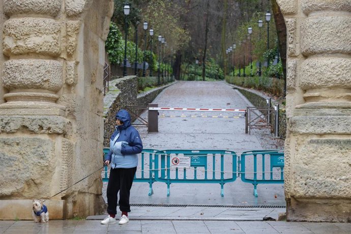 La Alhambra Cierra El Acceso A Sus Bosques Por Riesgo De Caída De Ramas O Árboles.