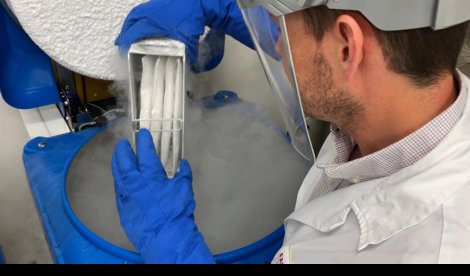 Es Andalucía - Sevilla