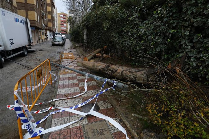 Efectos del paso de la borrasca Kristin a su paso por Granada.