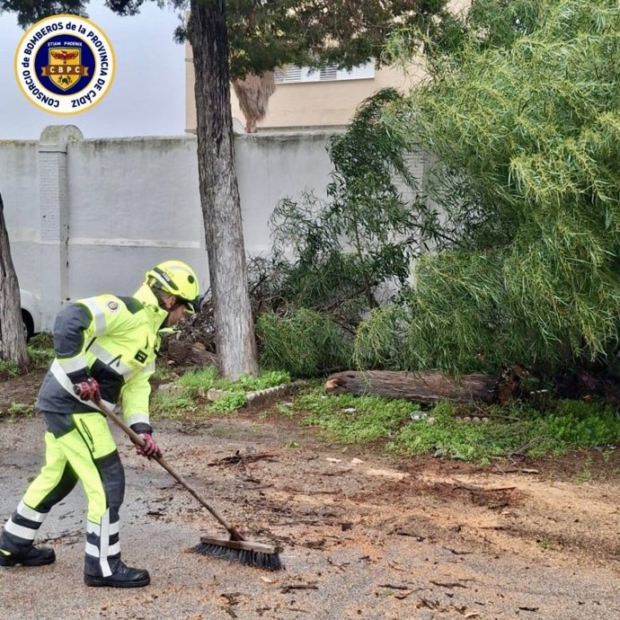 Un bombero despeja una calle afectada por la caída de un árbol en San Fernando.