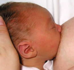 notibrasil política