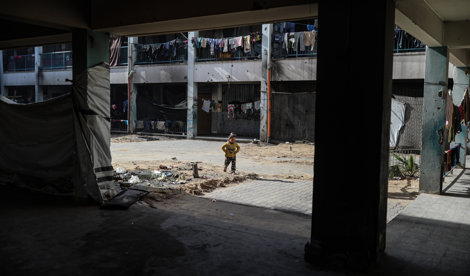 notibrasil política