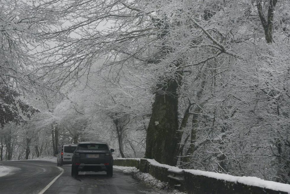 Nevada caída en Ourense, Galicia (España). 