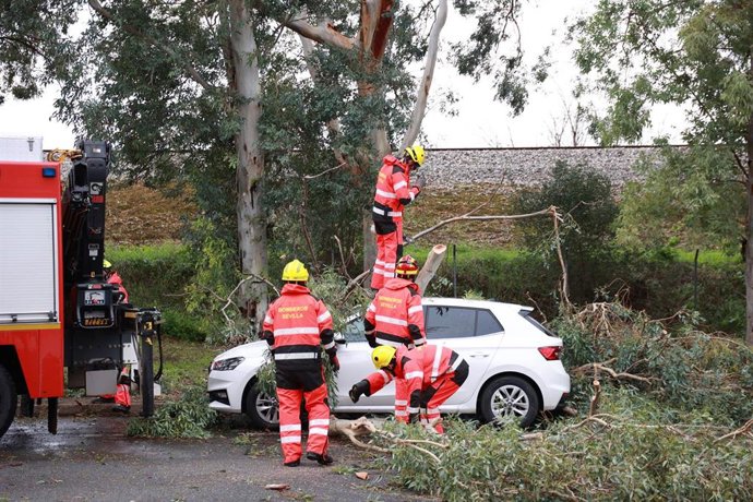 Bomberos de Sevilla retiran este miércoles de un coche estacionado las ramas de un árbol caídas por el fuerte viento del temporal. 