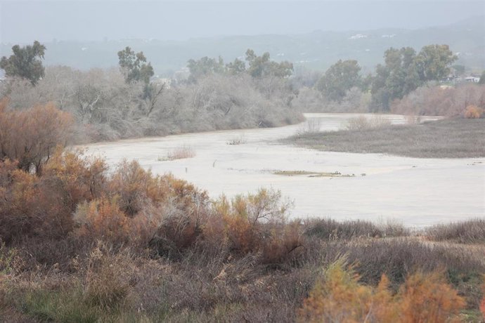 Imagen del río Guadalquivir a su paso por la localidad sevillana de Lora del Río mostrando una importante subida de caudal tras las últimas lluvias dejadas por la borrasca Joseph. 