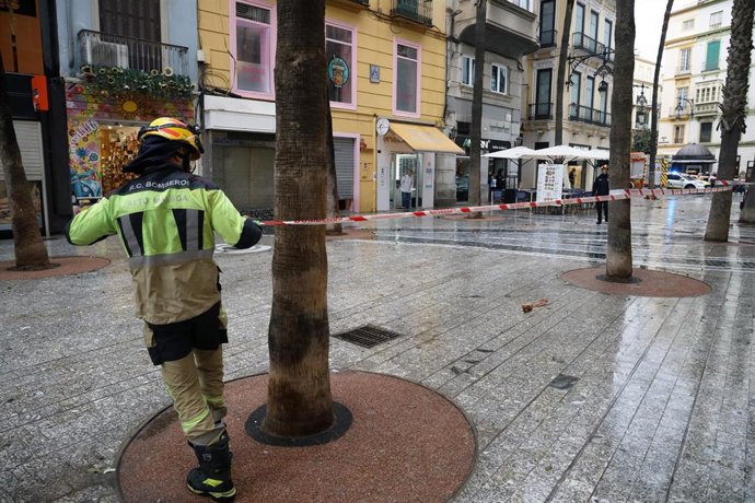 Bomberos de Málaga proceden a cerrar una calle de la capital por posible caída de palmeras por acción del temporal de lluvias y fuertes vientos que barre a toda Andalucía.