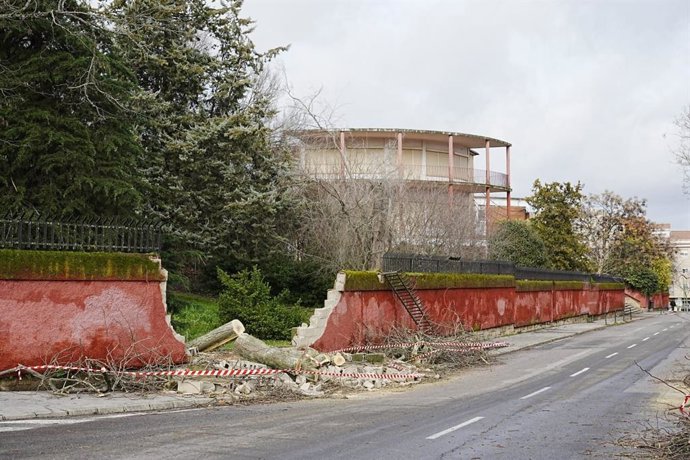 Muro derrumbado en el IES El Brocense de Cáceres tras la caída de un árbol
