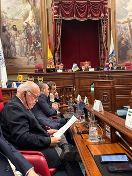 El presidente del Parlamento de Andalucía, Jesús Aguirre, este miércoles durante su participación en Santa Cruz de Tenerife en el pleno de la Conferencia de Asambleas Legislativas Regionales Europeas (Calre).