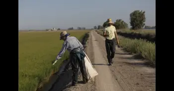 Los migrantes regularizados podrán trabajar asalariados o autónomos durante un año prorrogable