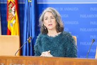 Adelante Andalucía afea a la Junta "falta de previsión" ante la última borrasca y le reclama "un plan de contingencia"