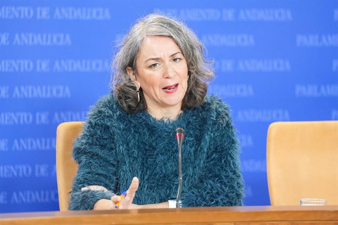 La portavoz adjunta del Grupo Mixto-AdelanteAndalucía, Begoña Iza, durante la ronda de ruedas de prensa de portavoces de los grupos parlamentarios en el Parlamento de Andalucía, a 29 de enero de 2026 en Sevilla (Andalucía, España). Los portavoces de los g